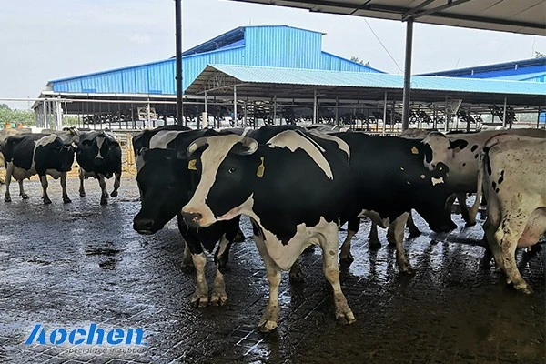 AOCHEN Rubber mat - Rubber mat - Niu Ma rubber mat - Rubber manufacturer - rubber exporter (6) AOCHEN Rubber mat - Rubber mat - Niu Ma rubber mat - Rubber manufacturer - rubber exporter (6)